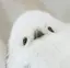 すぅのプロフィール画像