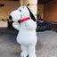 Sのプロフィール画像