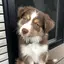 まなんねのプロフィール画像