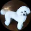 なかねのプロフィール画像