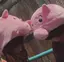 mauのプロフィール画像