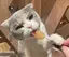 ぽのプロフィール画像