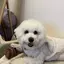 おのプロフィール画像