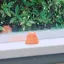 レレレのプロフィール画像