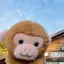 もものプロフィール画像