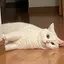 Ruのプロフィール画像
