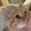 nonのプロフィール画像