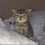羽のプロフィール画像