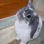 さくのプロフィール画像
