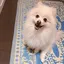 イケダのプロフィール画像