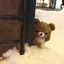 みさとのプロフィール画像