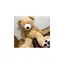 たろうちゃんのプロフィール画像