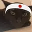 皓平のプロフィール画像