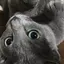 なぱのプロフィール画像