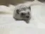 わのプロフィール画像
