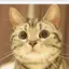 satoのプロフィール画像