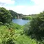 りなのプロフィール画像