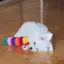 姫のプロフィール画像