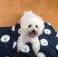 東城誠のプロフィール画像