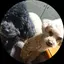 ゆずこのプロフィール画像