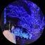 あやのプロフィール画像