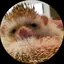 ちえのプロフィール画像
