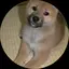M,(*ฅ́˘ฅ̀*)のプロフィール画像