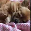 ひ〜のプロフィール画像