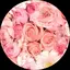 かれんのプロフィール画像