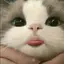 수령のプロフィール画像