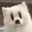 陽のプロフィール画像