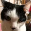 ゆかのプロフィール画像