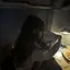 瑛美鈴のプロフィール画像