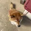 ひまりのプロフィール画像