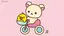 のんのプロフィール画像