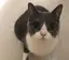 フィオナのプロフィール画像
