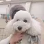 M.Uのプロフィール画像