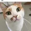 ポさんのプロフィール画像