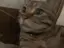 nのプロフィール画像