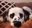 ameのプロフィール画像
