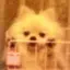 hiiboのプロフィール画像