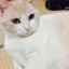 わかのプロフィール画像