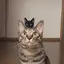 征彦のプロフィール画像