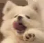 美桜のプロフィール画像