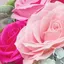 fのプロフィール画像