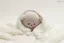 ♫のプロフィール画像