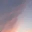 愛梨のプロフィール画像