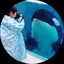yukiのプロフィール画像