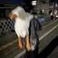 ゆのプロフィール画像