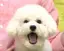 佐伯のプロフィール画像